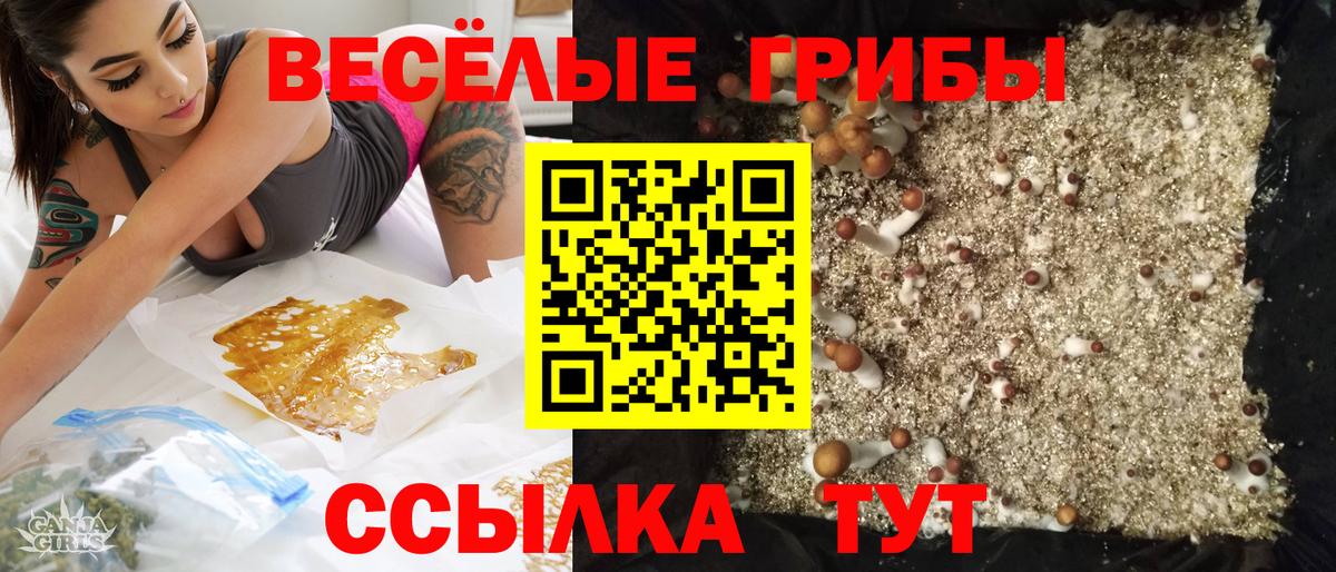 Галлюциногенные грибы прущие грибы  купить  сайты  Галлюциногенные грибы MAGIC MUSHROOMS  Каспийск  Вход с VPN 
