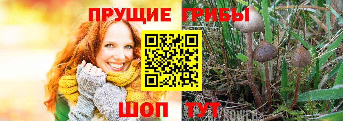 Псилоцибиновые грибы Magic Shrooms Каспийск